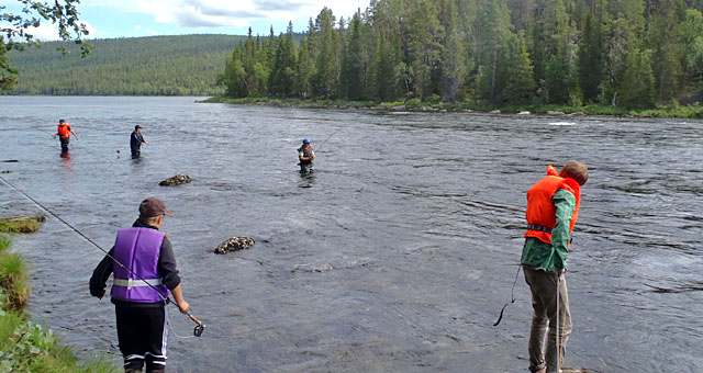 Flugfiskeskolan 2011 vid Sjöforsen